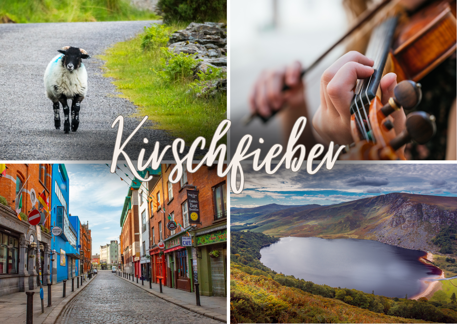 Postkarte Kirschfieber